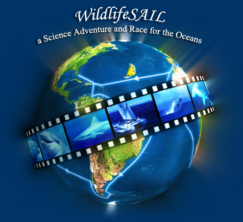 WildlifeSAIL - Inspire a new generation to understand and care for the oceans